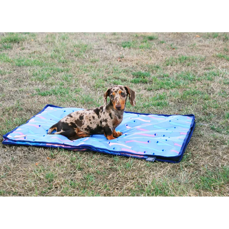 Benji and Flo Dorris The Dachshund Dog Bed - Riviera/Navy-1